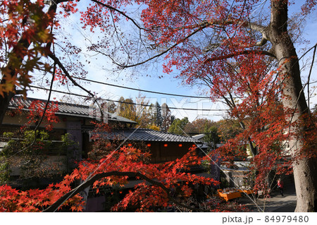 深大寺門前町の晩秋風景 深大寺門前町の晩秋風景 84979480