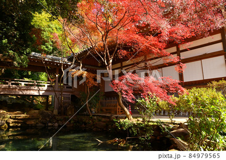 深大寺門前町の晩秋風景 84979565