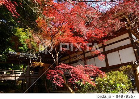 深大寺門前町の晩秋風景 84979567