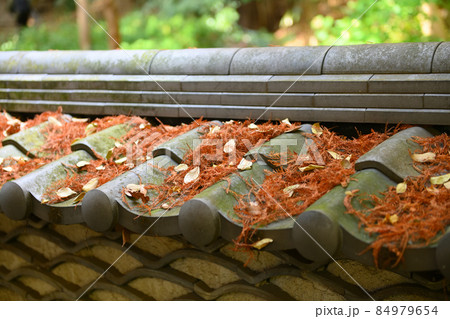 深大寺門前町の晩秋風景 深大寺門前町の晩秋風景 84979654