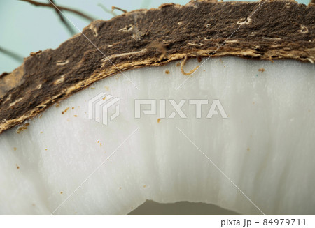 Closeup texture of a cutaway coconut fruit on a blue background 84979711