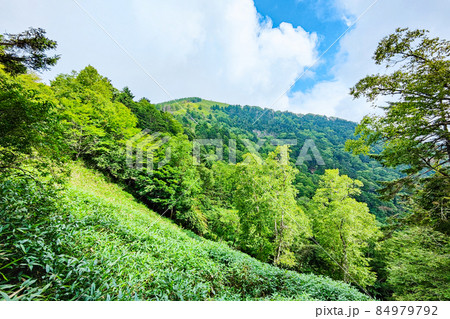 信州ビーナスライン・茶臼山登山（扉峠コース）　登山道から茶臼山の眺め 84979792