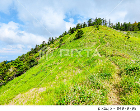 信州ビーナスライン・茶臼山登山（扉峠コース） 84979798