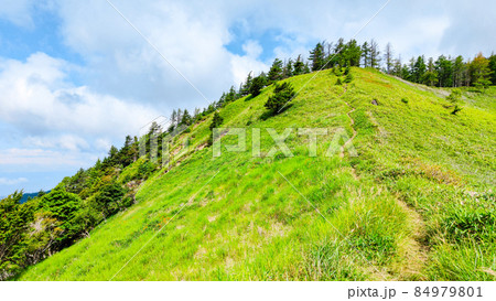 信州ビーナスライン・茶臼山登山（扉峠コース） 84979801