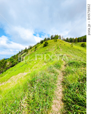 信州ビーナスライン・茶臼山登山(扉峠コース) 信州ビーナスライン・茶臼山登山(扉峠コース) 84979802
