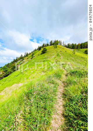 信州ビーナスライン・茶臼山登山（扉峠コース） 84979804