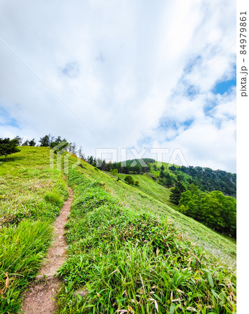 信州ビーナスライン・茶臼山登山（扉峠コース） 84979861