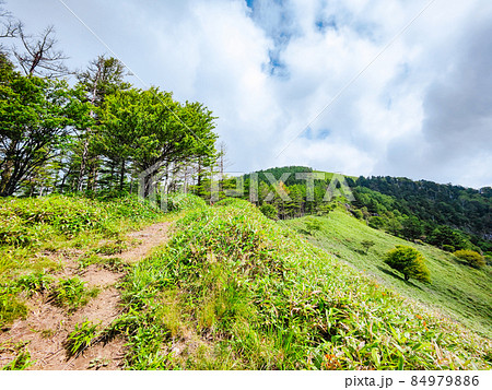 信州ビーナスライン・茶臼山登山（扉峠コース） 84979886