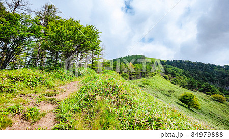 信州ビーナスライン・茶臼山登山(扉峠コース) 信州ビーナスライン・茶臼山登山(扉峠コース) 84979888
