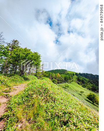 信州ビーナスライン・茶臼山登山（扉峠コース） 84979968