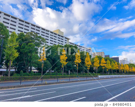 東京板橋・高島平団地の黄葉 東京板橋・高島平団地の黄葉 84980401