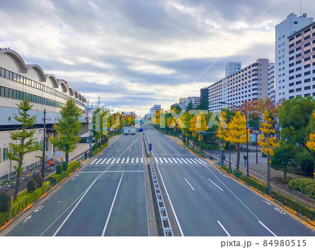 東京板橋・高島平団地の黄葉 84980515
