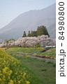 由布岳をバックに桜並木と川と菜の花が咲く風景 84980800