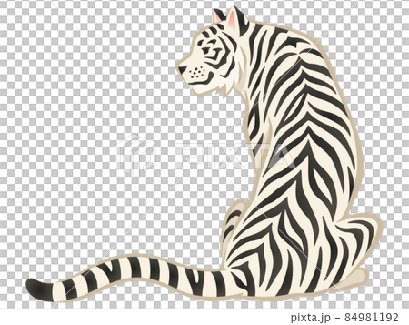 White tiger sitting with his back turned White tiger sitting with his back turned 84981192