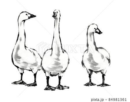 水墨画掛軸 船と白鳥の絵 水墨画掛軸 船と白鳥の絵 - メルカリ