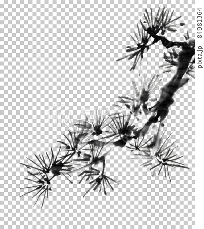 Pine branches drawn with ink painting technique Pine branches drawn with ink painting technique 84981364