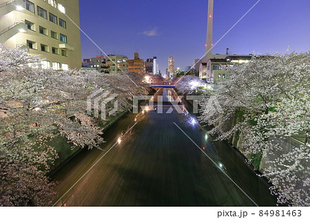 【東京都】満開の桜並木の夜桜(目黒川) 【東京都】満開の桜並木の夜桜(目黒川) 84981463