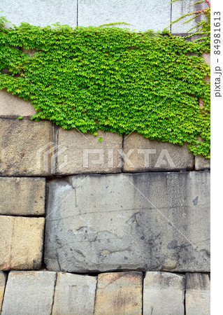 日本三名城~大坂城 日本三名城~大坂城 84981613