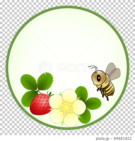白い花が咲き、赤い実がなるイチゴ畑に飛んできたハチの 84981922
