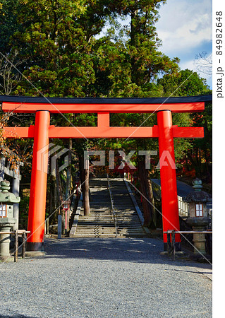 吉田神社の美しい鳥居（京都市左京区） 84982648