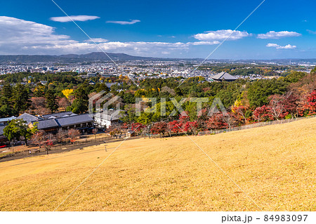 《奈良県》秋の奈良公園・若草山の眺め 84983097