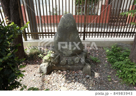 玉川上水羽村陣屋跡 玉川上水羽村陣屋跡 84983943