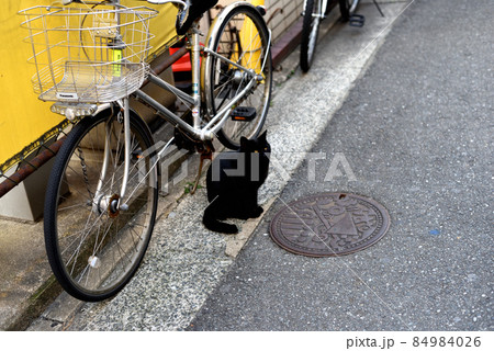 路地の黒猫 路地の黒猫 84984026