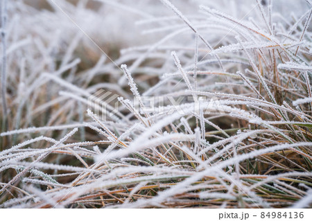 morning frost on the grass. Winter background 84984136