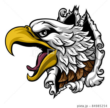 Eagle Hawk Face Head Ripping Through Background 84985254
