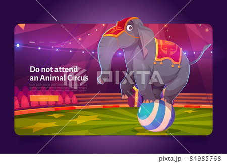 Do not attend animal circus banner with elephant Do not attend animal circus banner with elephant 84985768