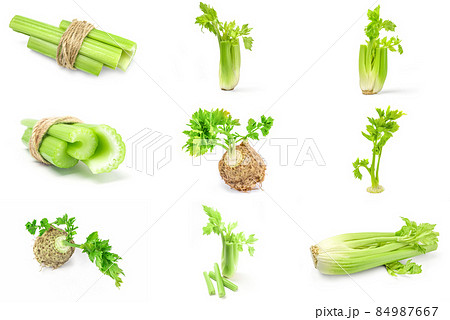 Group of celeriac on white 84987667