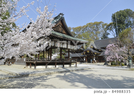 春の今宮神社 拝殿 京都市北区紫野 春の今宮神社 拝殿 京都市北区紫野 84988335