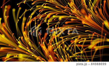 3D rendering of stylish bright branches growing elegantly on a black background 3D rendering of stylish bright branches growing elegantly on a black background 84988699
