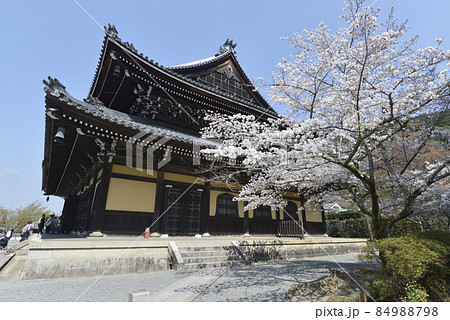 春の南禅寺 法堂 京都市左京区 春の南禅寺 法堂 京都市左京区 84988798