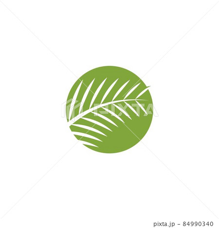 Palm tree leaf illustration Palm tree leaf illustration 84990340