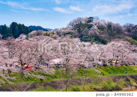 〈島根県〉斐伊川堤防の桜並木と木次公園の風景 〈島根県〉斐伊川堤防の桜並木と木次公園の風景 84990362