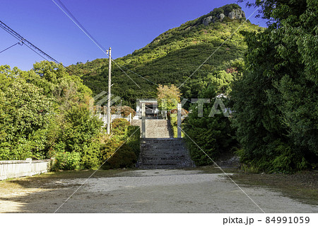 屋島神社 境内 香川県高松市 屋島神社 境内 香川県高松市 84991059