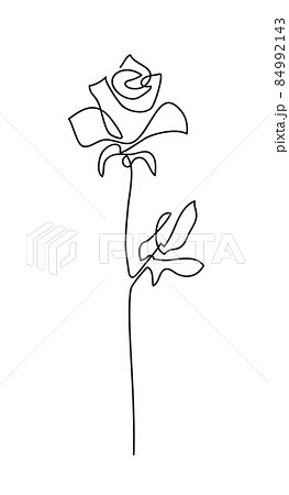 Rose flower. Continuous drawing Rose flower. Continuous drawing 84992143
