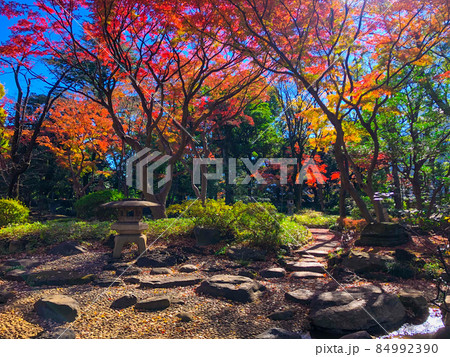東京赤坂・高橋是清翁記念公園の紅葉 84992390