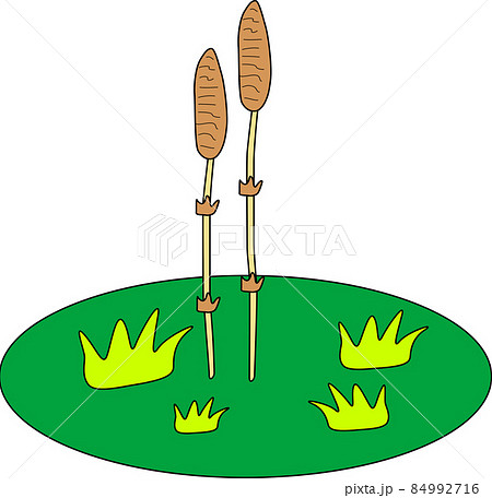 可愛いつくしの成長 84992716