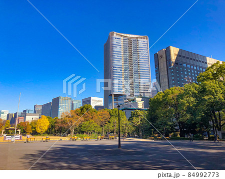 東京日比谷・日比谷公園の黄葉 東京日比谷・日比谷公園の黄葉 84992773