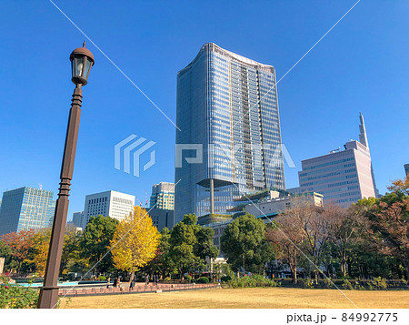 東京日比谷・日比谷公園の黄葉 84992775