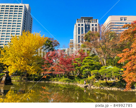 東京日比谷・日比谷公園の黄葉 84992785