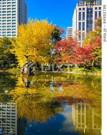 東京日比谷・日比谷公園の黄葉 東京日比谷・日比谷公園の黄葉 84992786
