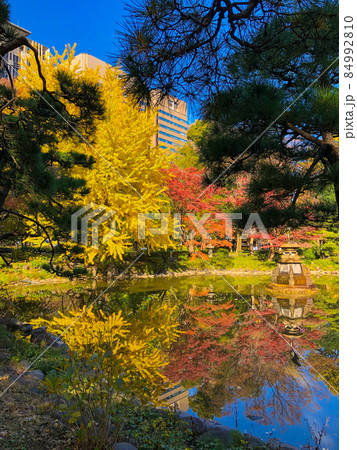 東京日比谷・日比谷公園の黄葉 東京日比谷・日比谷公園の黄葉 84992810