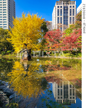 東京日比谷・日比谷公園の黄葉 84992812
