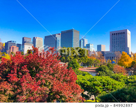 東京日比谷・日比谷公園の黄葉 84992897