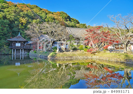 【根来寺】 和歌山県岩出市根来 84993171