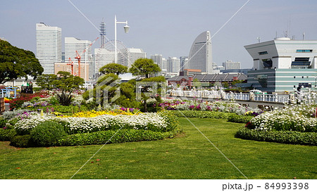 横浜港、山下公園からみなとみらい方面を見たところ 84993398