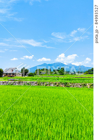 北杜市から望む八ヶ岳 北杜市から望む八ヶ岳 84993527